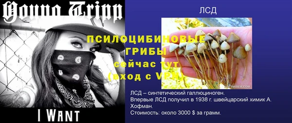 ПСИЛОЦИБИНОВЫЕ ГРИБЫ Зерноград